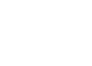 novo-nordisk-icon.png